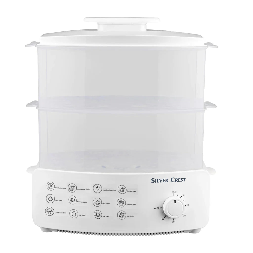 electric steamer and defroster