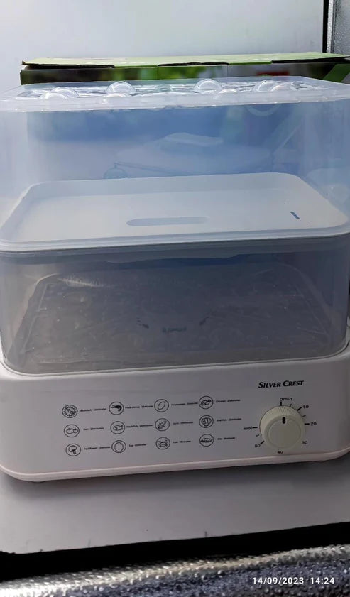electric steamer and defroster