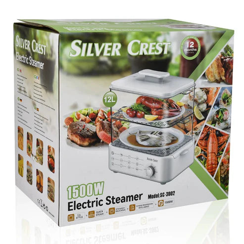 electric steamer and defroster