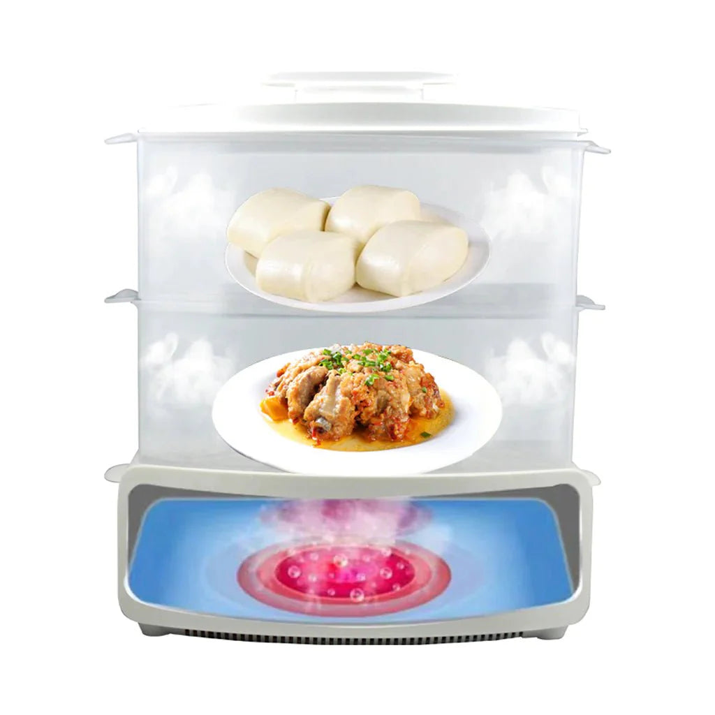 electric steamer and defroster