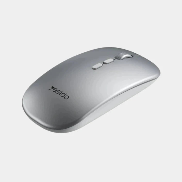 MOUSE