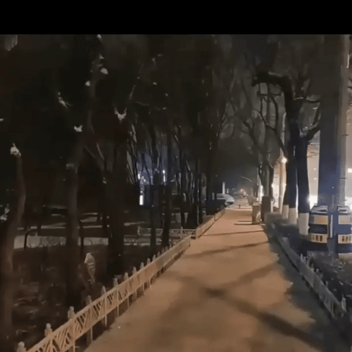 portable body camera