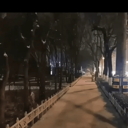 Portable Body Camera